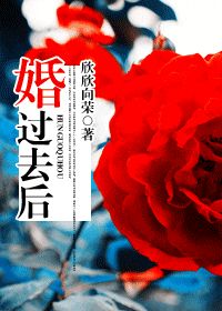 婚过去后(高干番外)